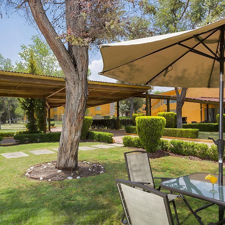Hotel Gamma Pachuca Extérieur photo