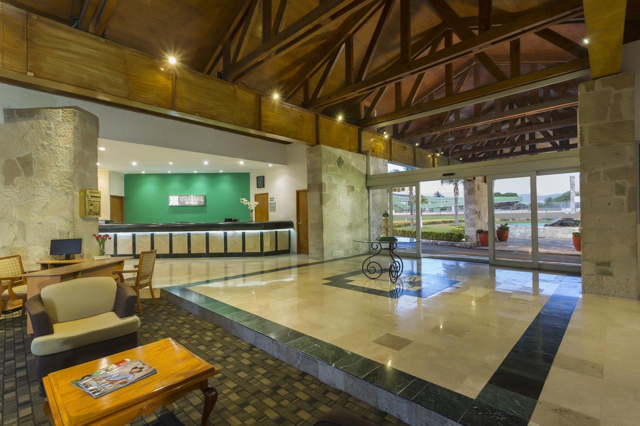 Hotel Gamma Pachuca Extérieur photo