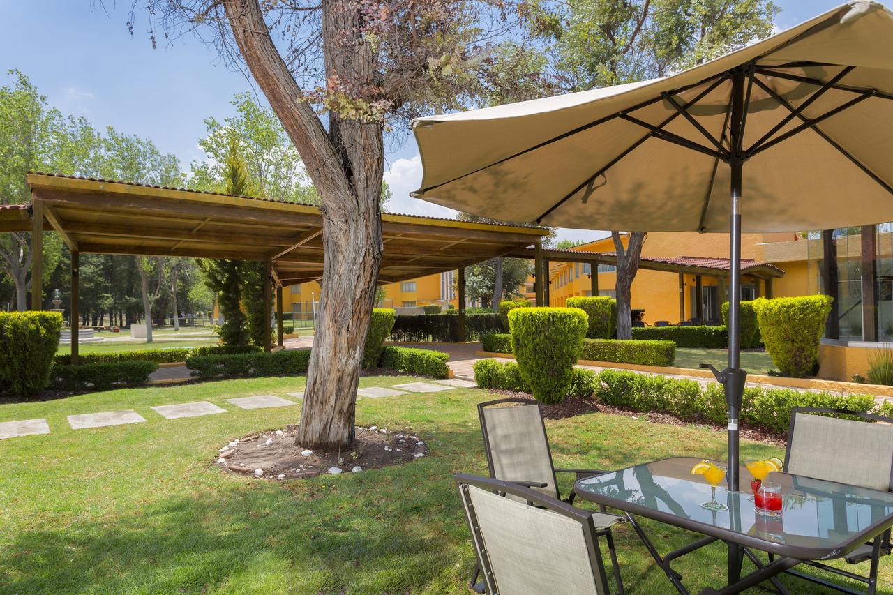 Hotel Gamma Pachuca Extérieur photo